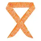 Cooling Bandanas - Orange - Accessories