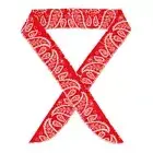 Cooling Bandanas - Red - Accessories